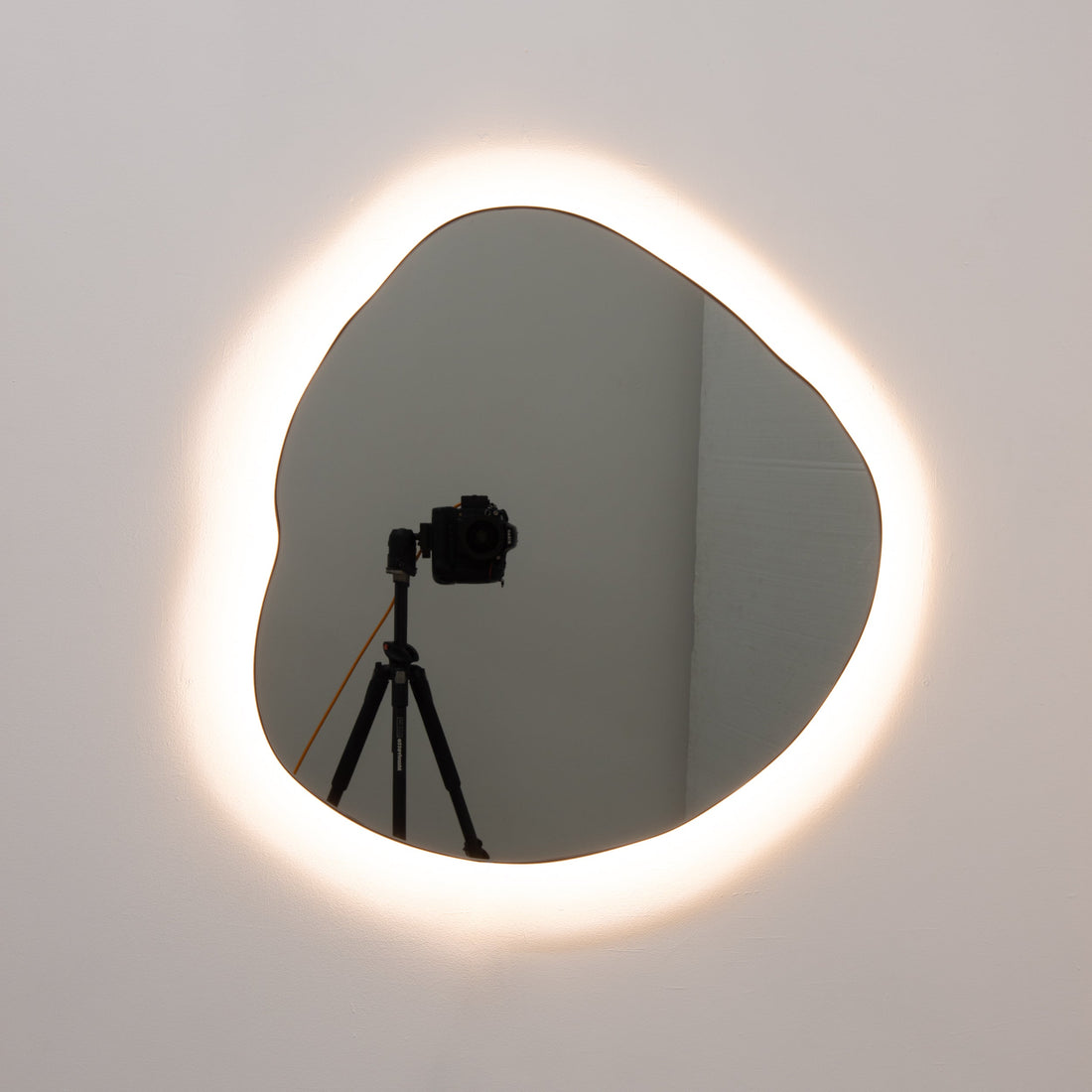 NEW Ergon™ Organic-Shaped Illuminated Contemporary Mirror with Bronze Patina Brass Frame