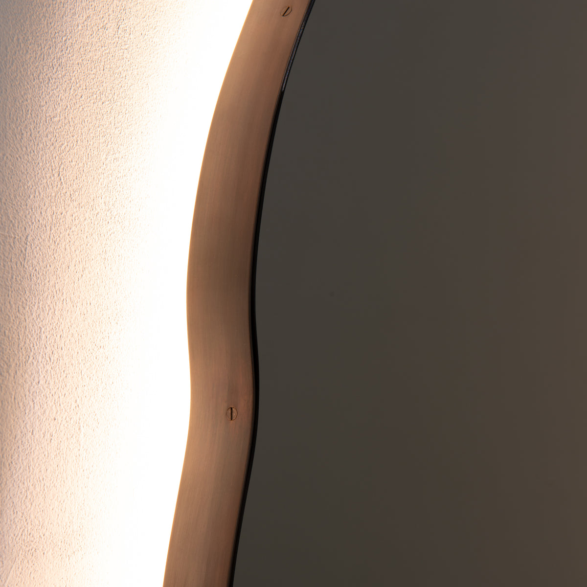 Ergon™ Organic Shaped Illuminated Contemporary Mirror with Blackened Stainless Steel Frame