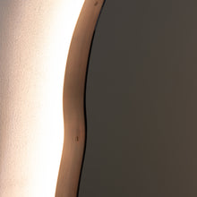 Ergon™ Organic Shaped Illuminated Contemporary Mirror with Blackened Stainless Steel Frame
