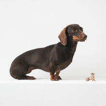 Handmade Bronze Cast Neska Miniature Dog Sculpture