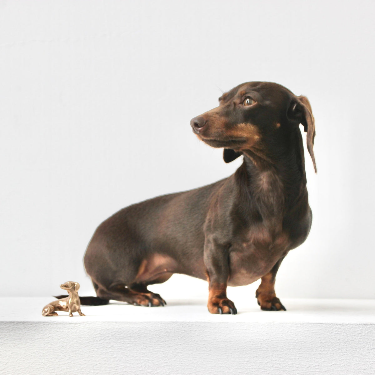 Handmade Bronze Cast Neska Miniature Dog Sculpture