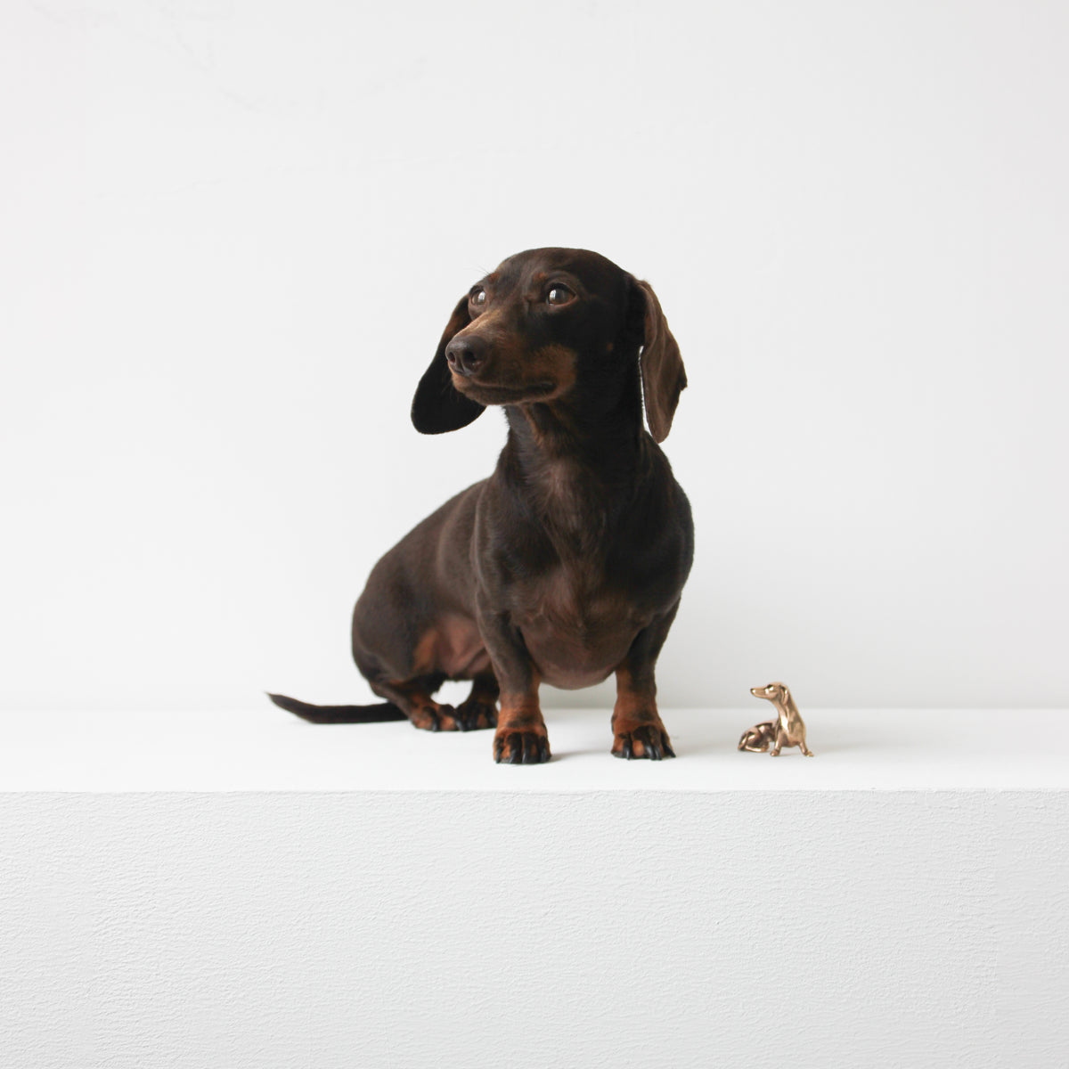 Handmade Bronze Cast Neska Miniature Dog Sculpture