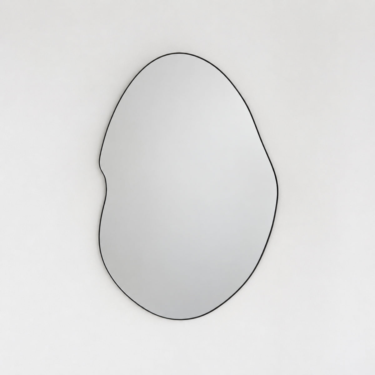 Freeform Organic Mirror with Minimalist Black Frame - A