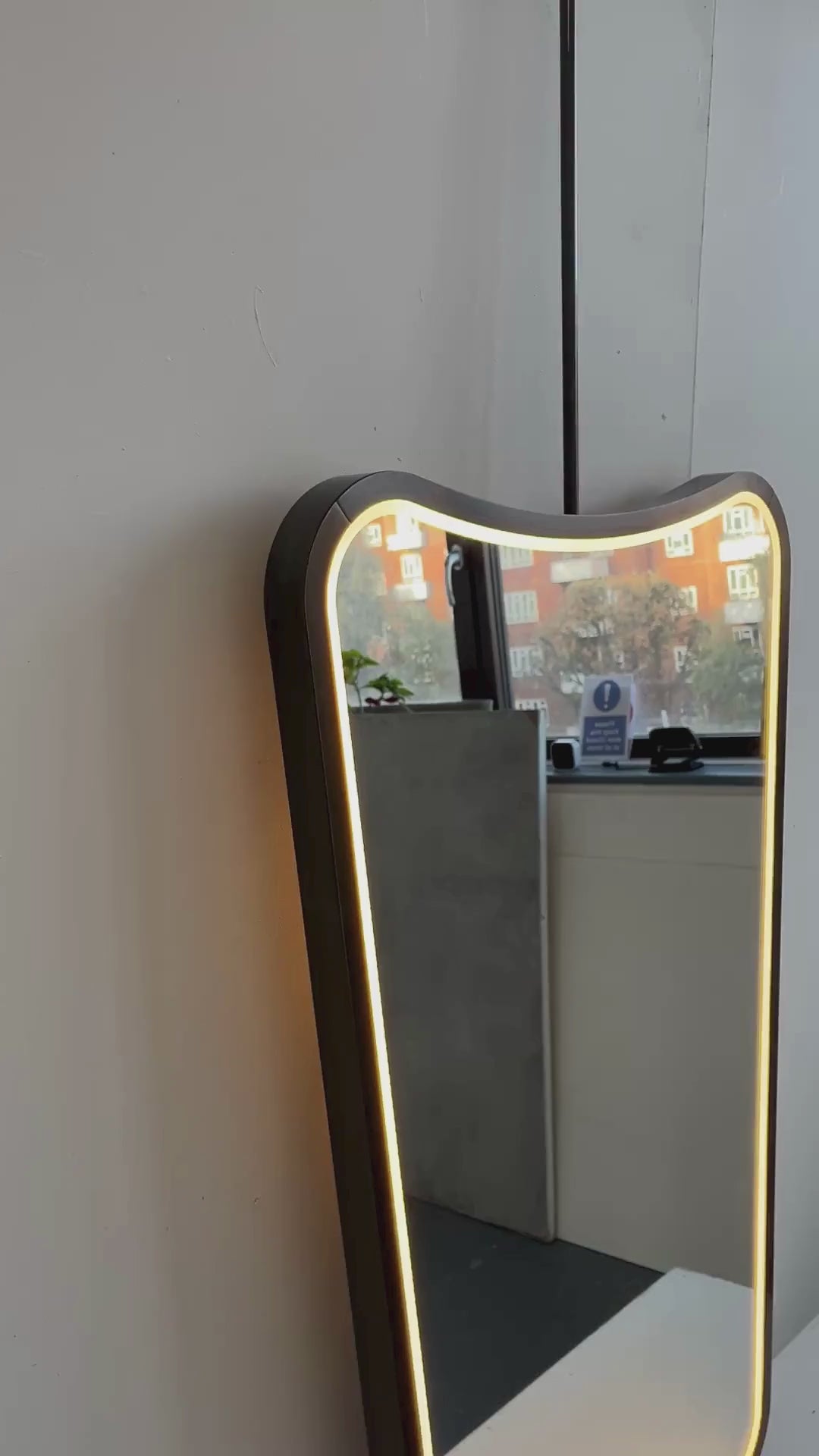 Mid-century style Ceiling Suspended Freeform Mirror with Illumination - Vintage N. 2