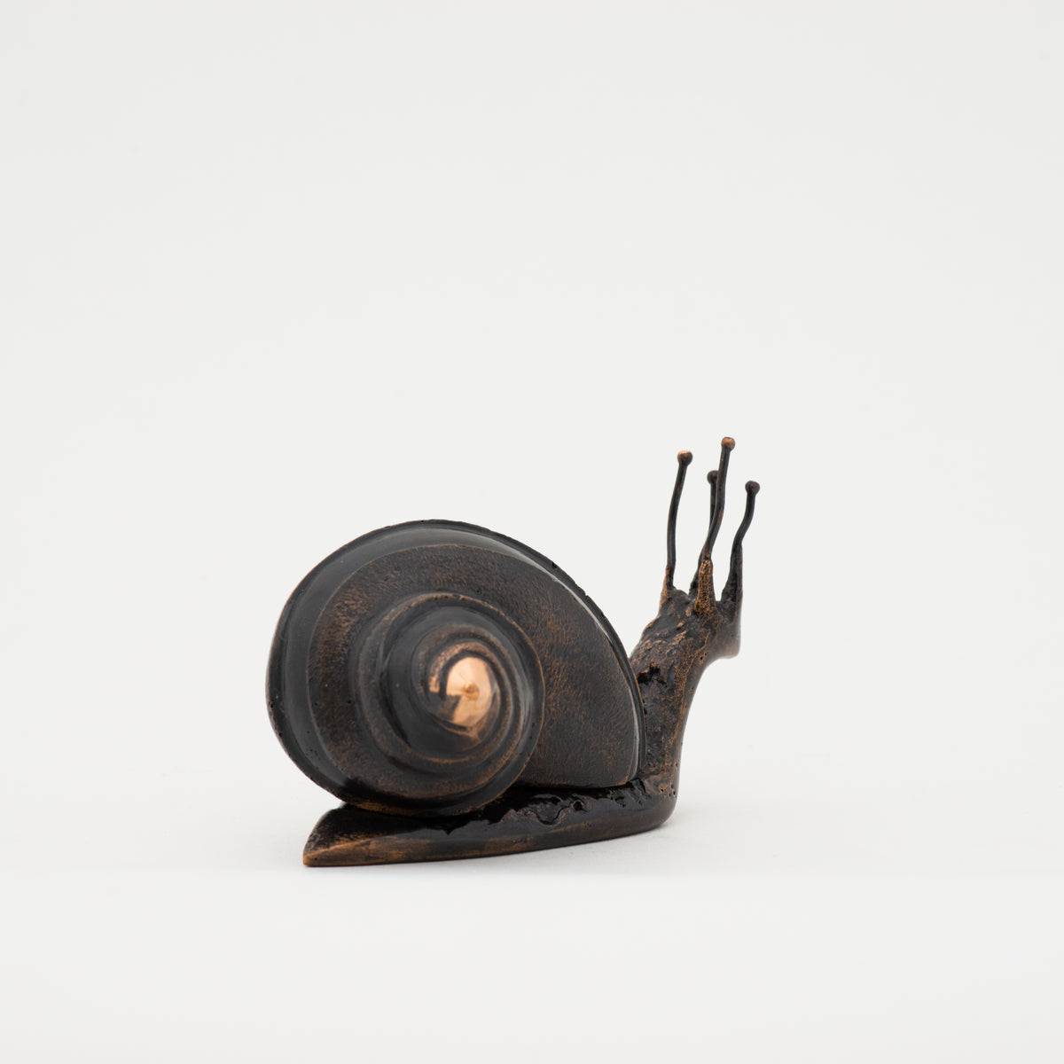 Handmade Cast Dark Bronze Snail Large Paperweight