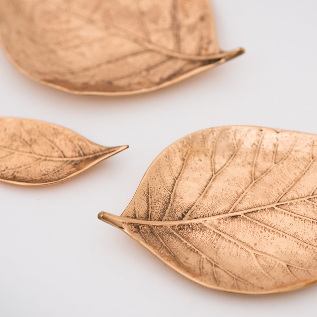 Cast Bronze Leaf Decorative Handmade Dish Vide-poche, Medium