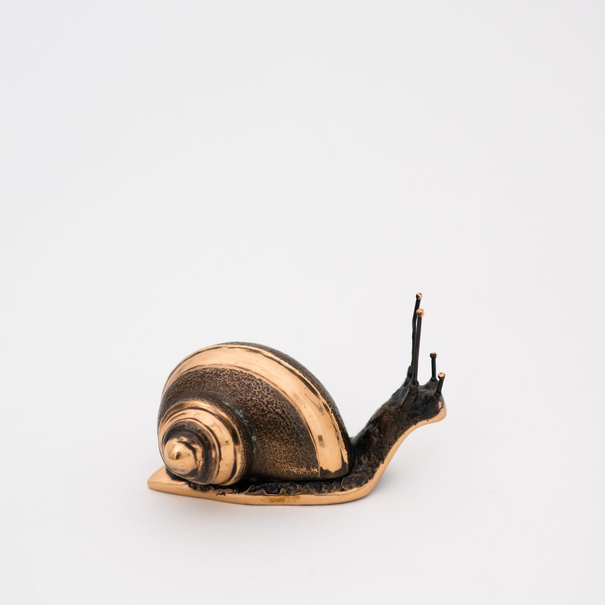 Handmade Cast Bronze Light Patina Snail Paperweight, Large