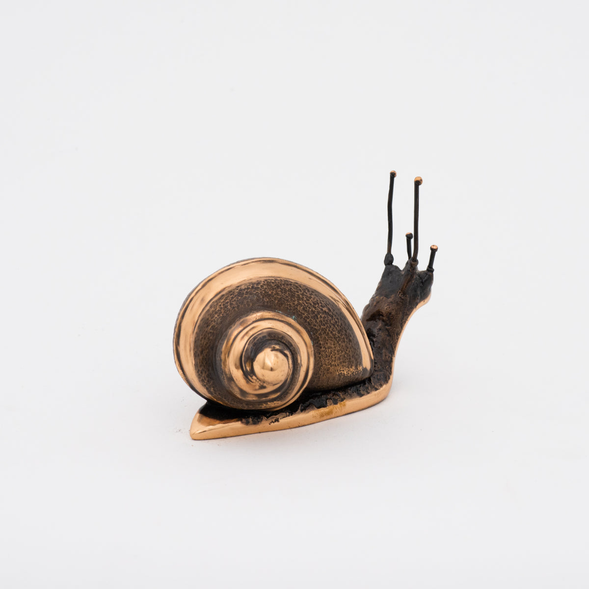 Handmade Cast Bronze Light Patina Snail Paperweight, Large