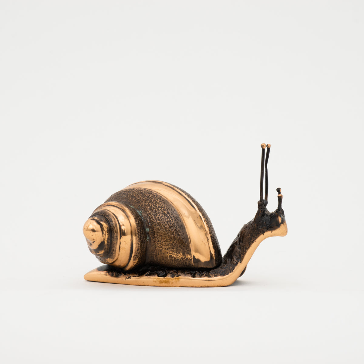 Handmade Cast Bronze Light Patina Snail Paperweight, Large
