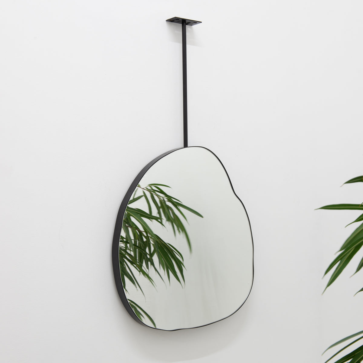 Ceiling Suspended Organic Mirror with Modern Matt Black Frame
