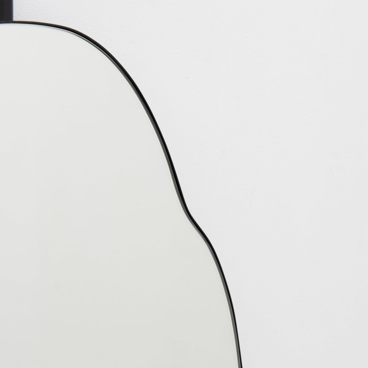 Ergon Ceiling Suspended Organic Mirror with Modern Matt Black Frame